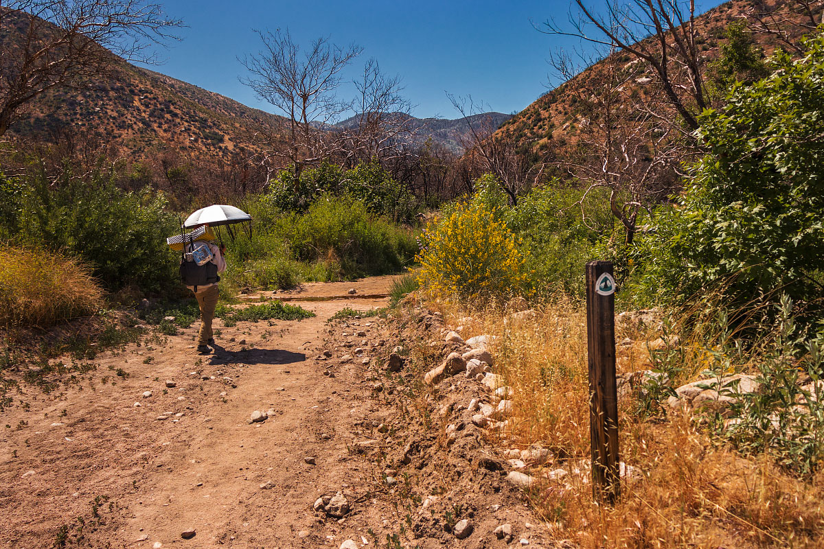 Stream bed in the desert.