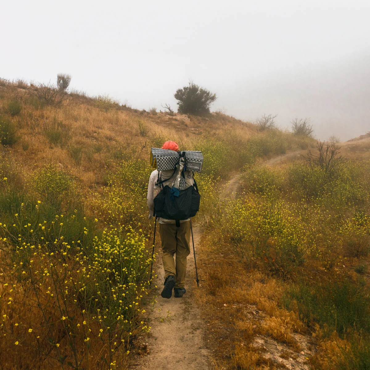 Hiking in the mist towards Cabazon, mile ~363.