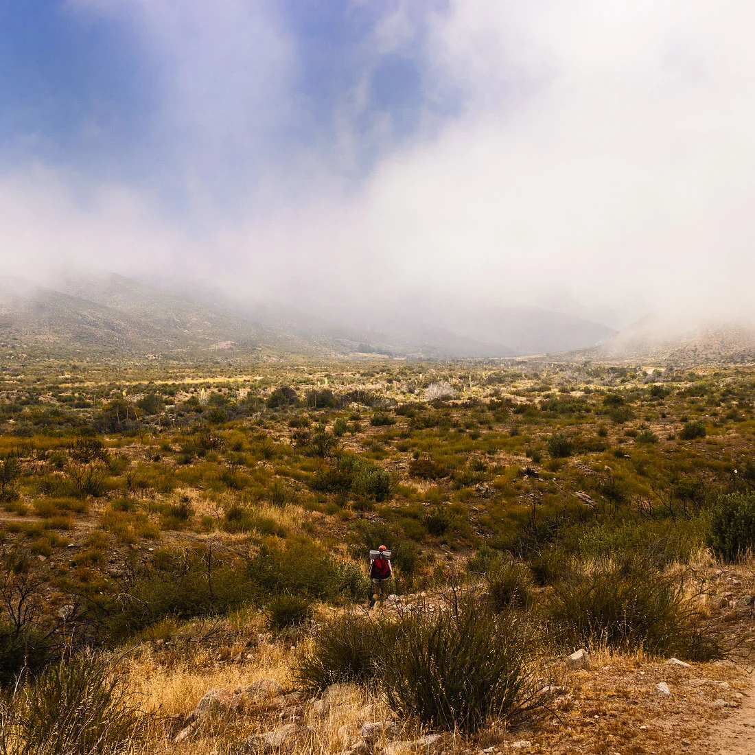 Swarthout Canyon, mile 347.2.