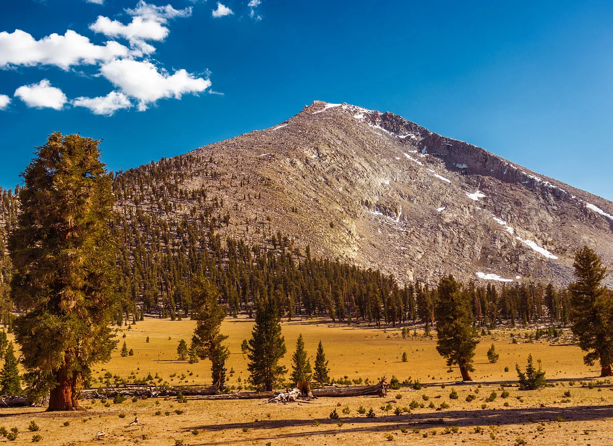 Mount Guyot.