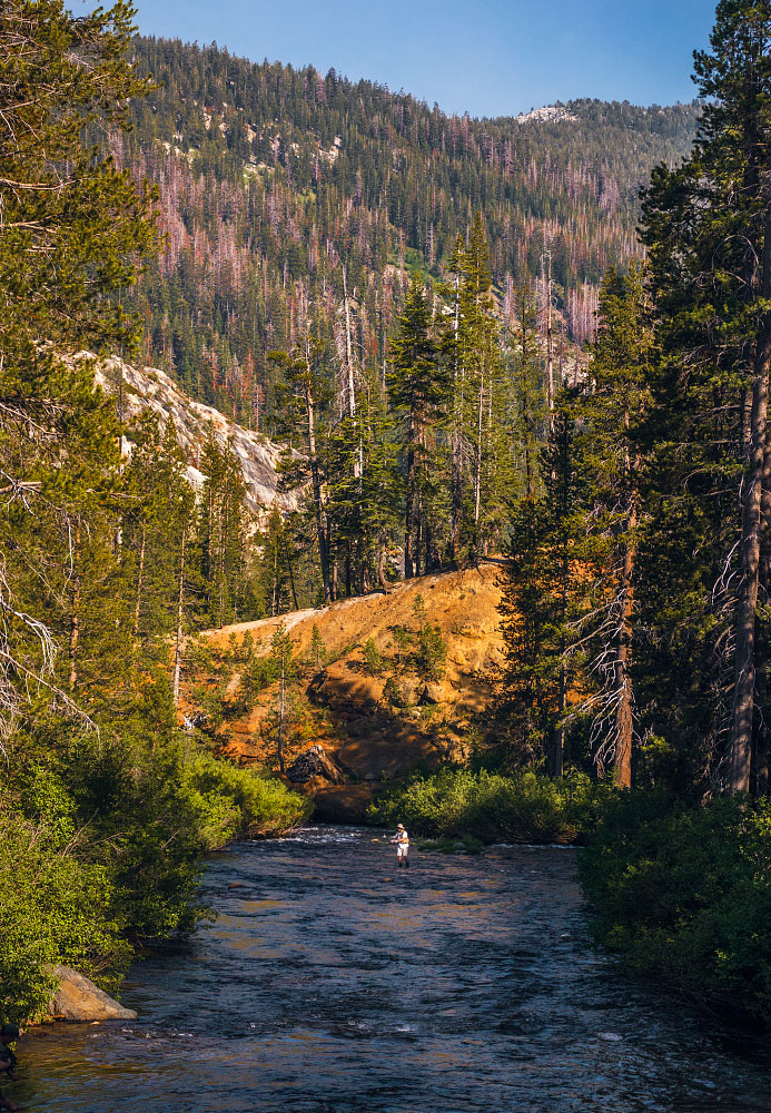 Fly fisherman on the Middle Fork San Joaquin River.