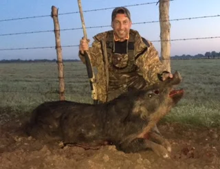 Pig.jpg