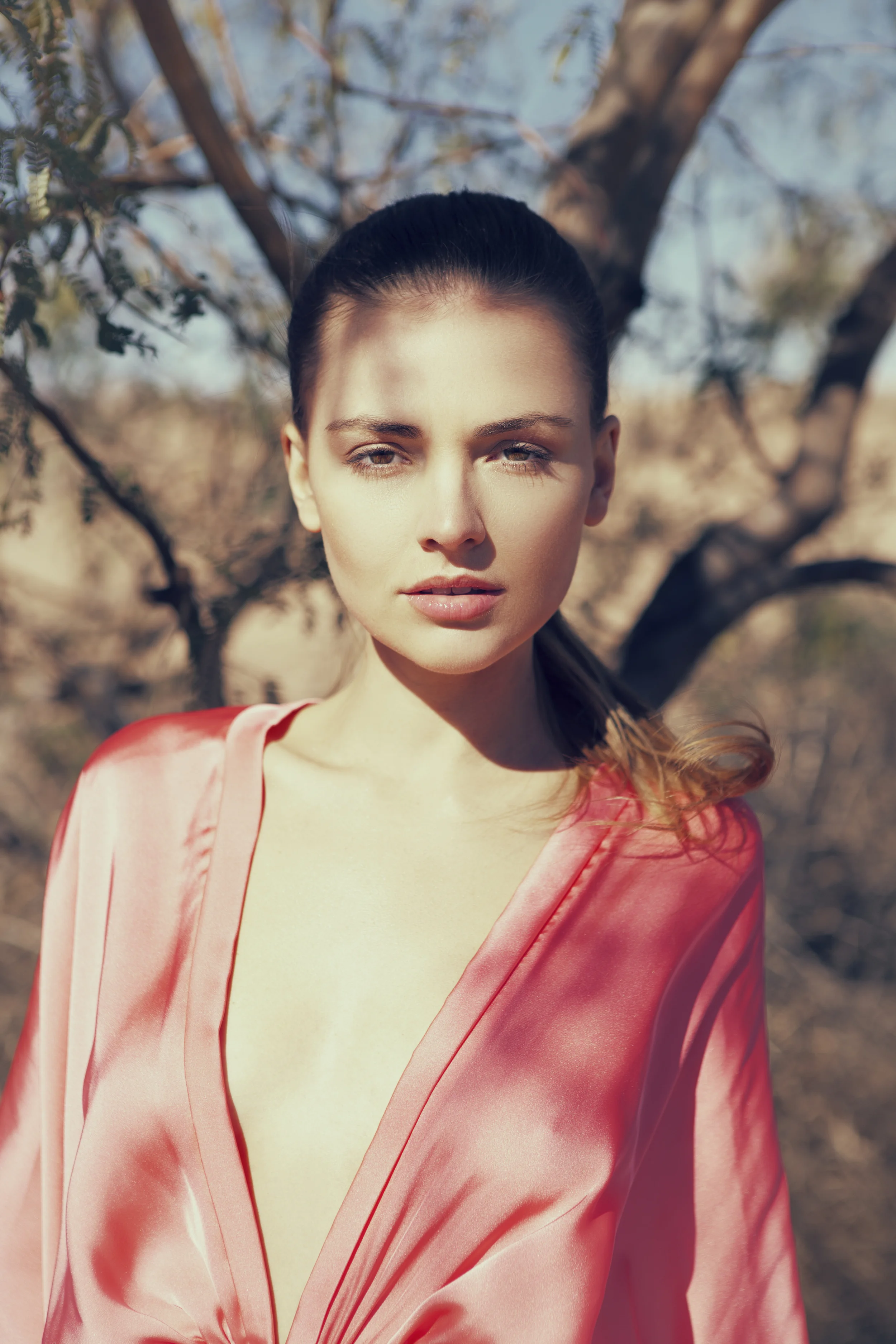 Arizona 2