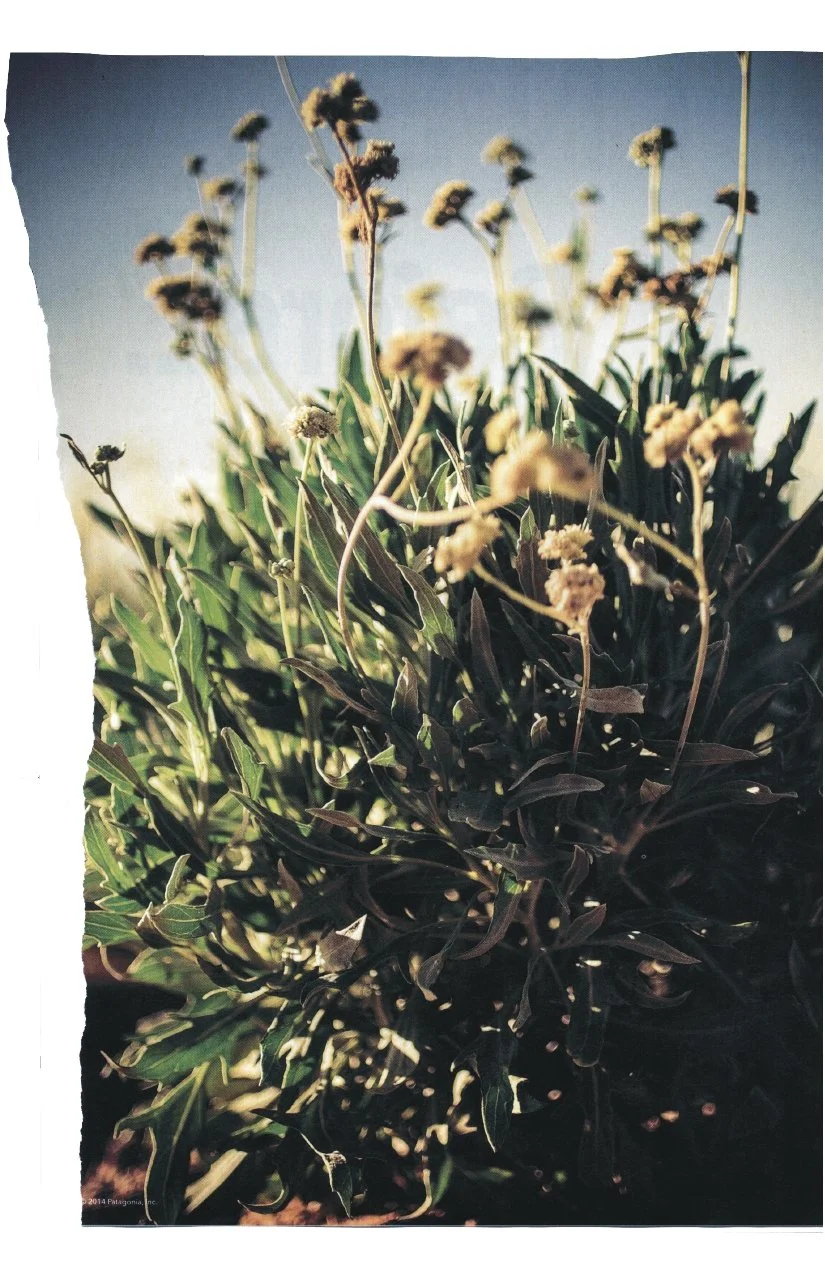 march 2016 engender zine_page-0017.jpg