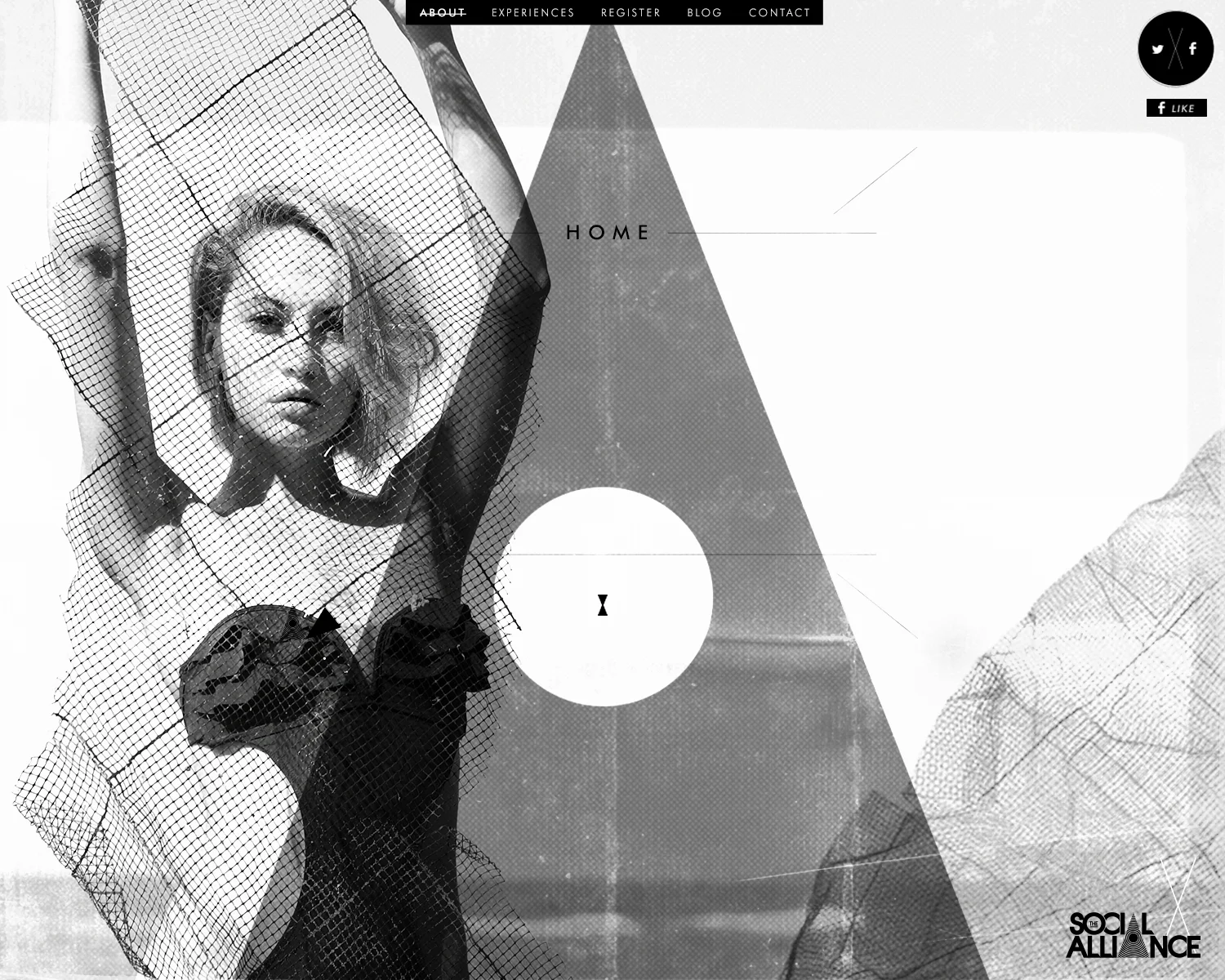 Website Design >