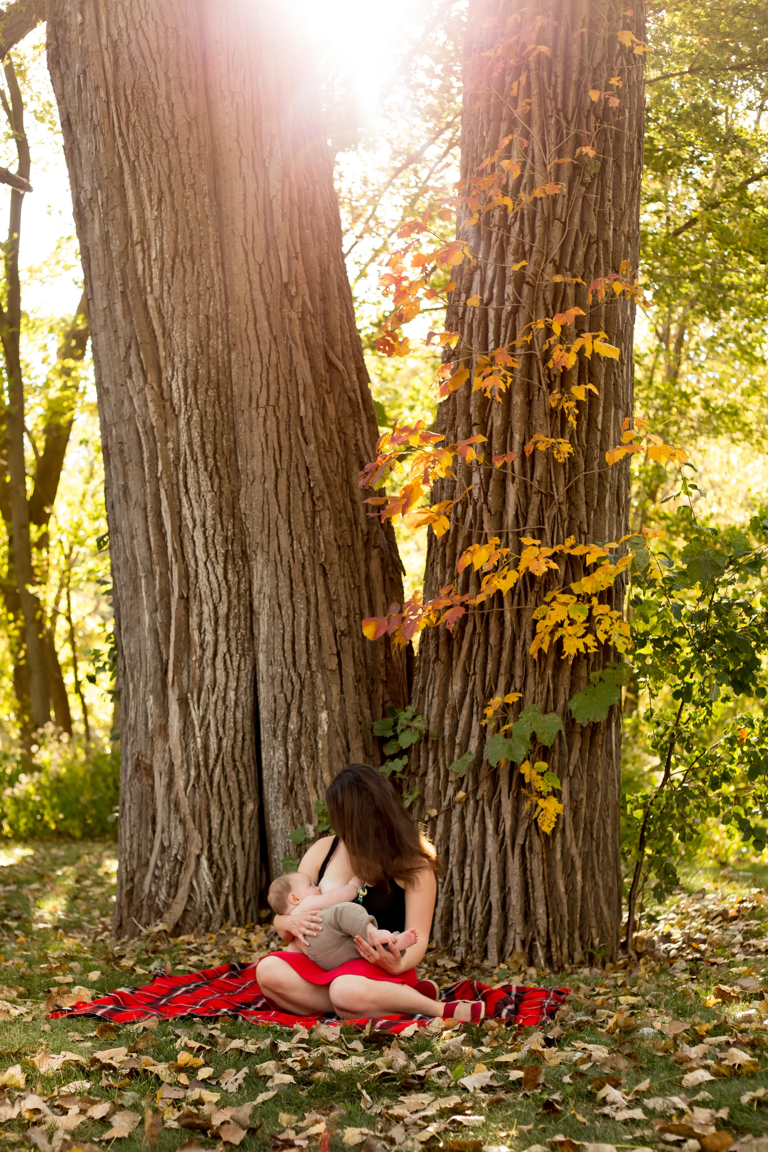 Hustar BF 2015-3601.JPG