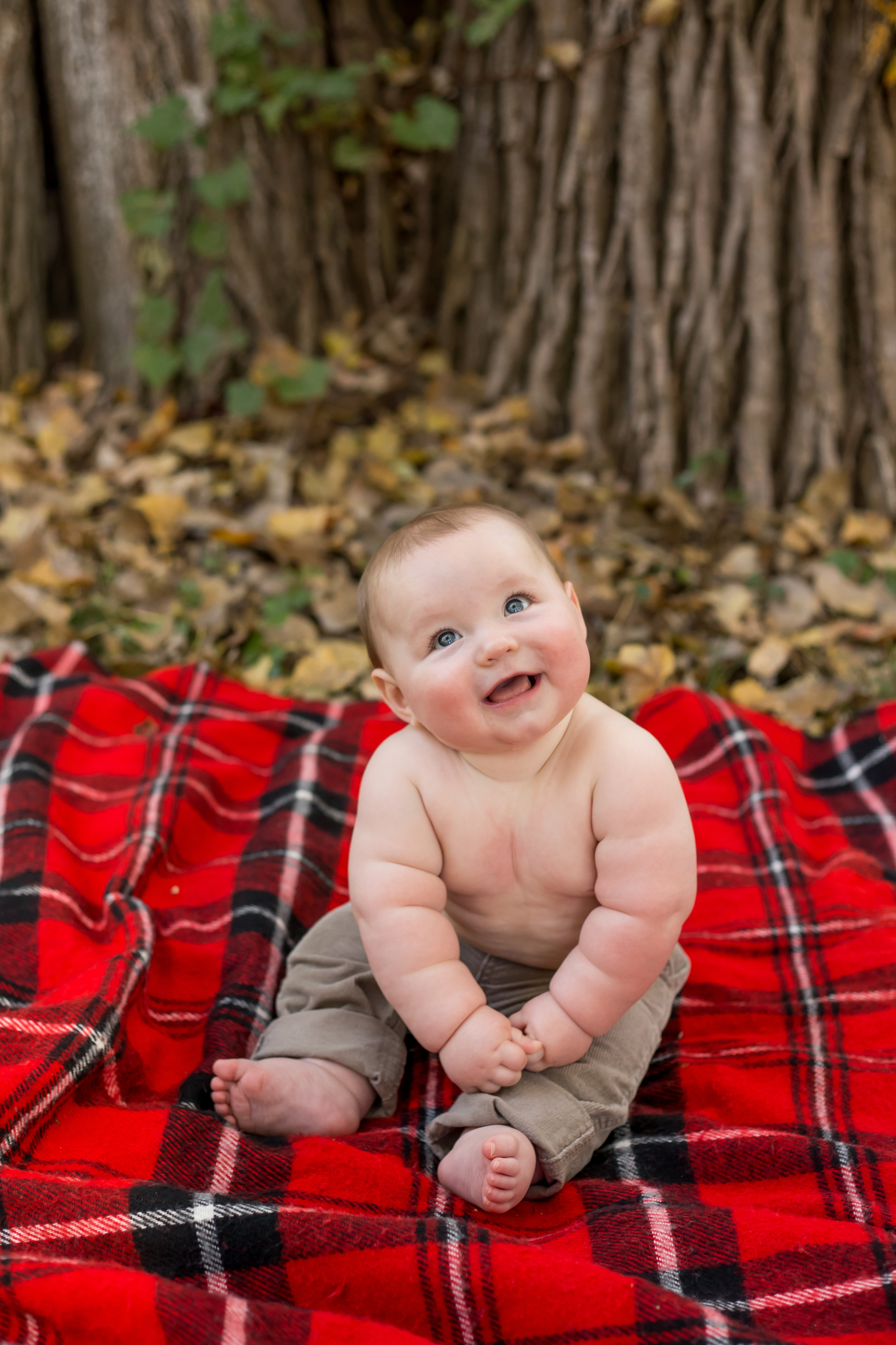 Charlie Hustar 2015-3672.JPG