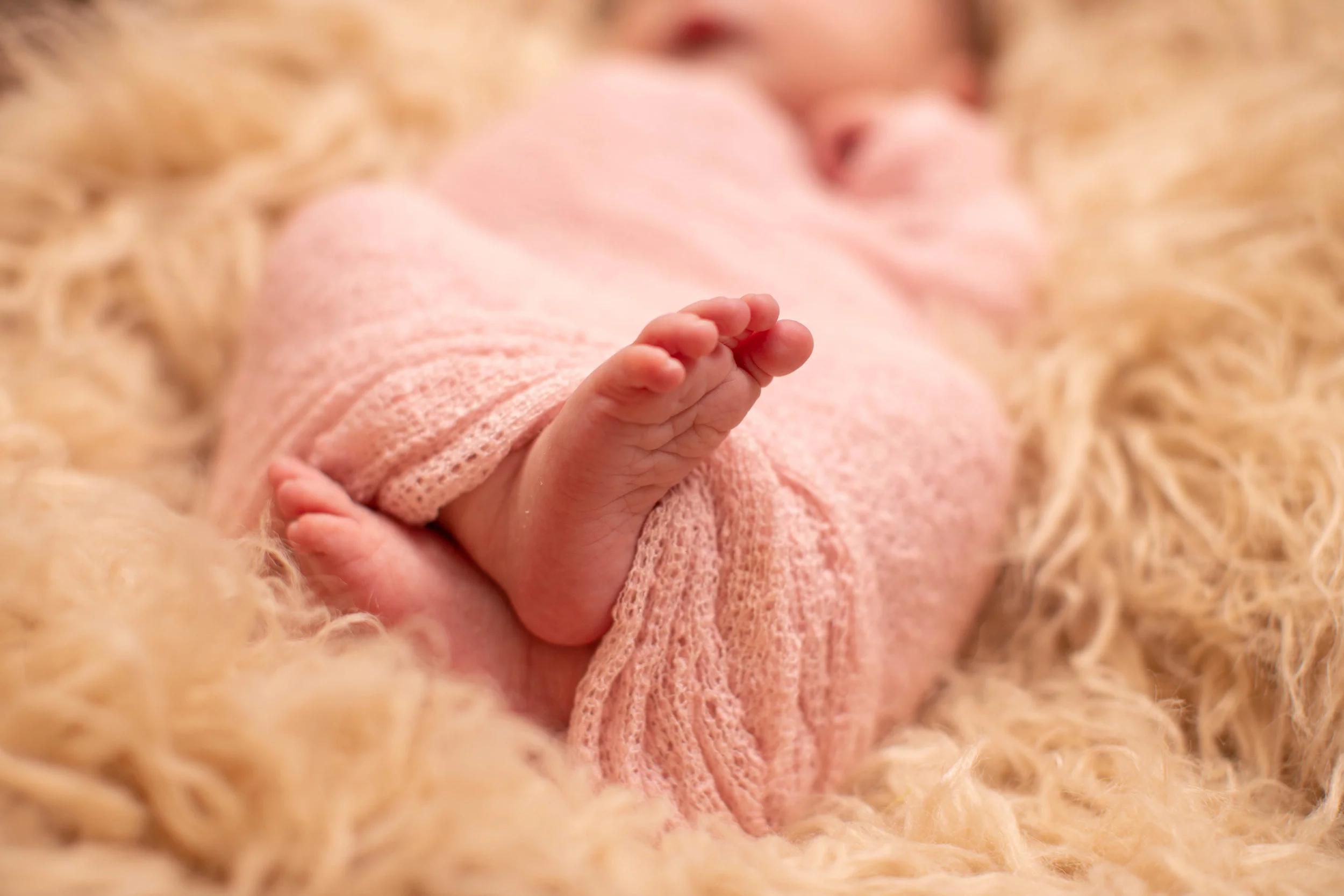 Clara Newborn 2018-2662.jpg