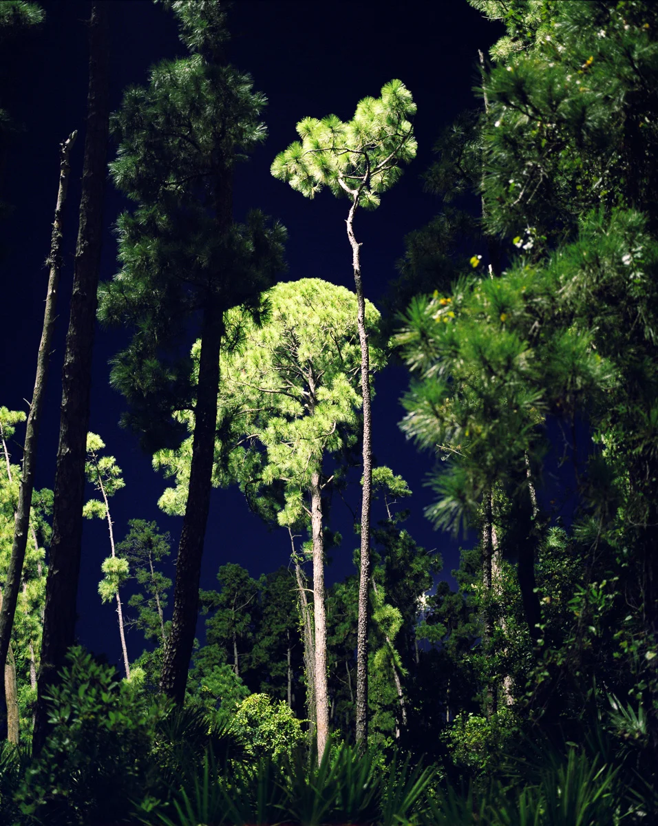 Mercury Vapor No.10 © Adrain Chesser