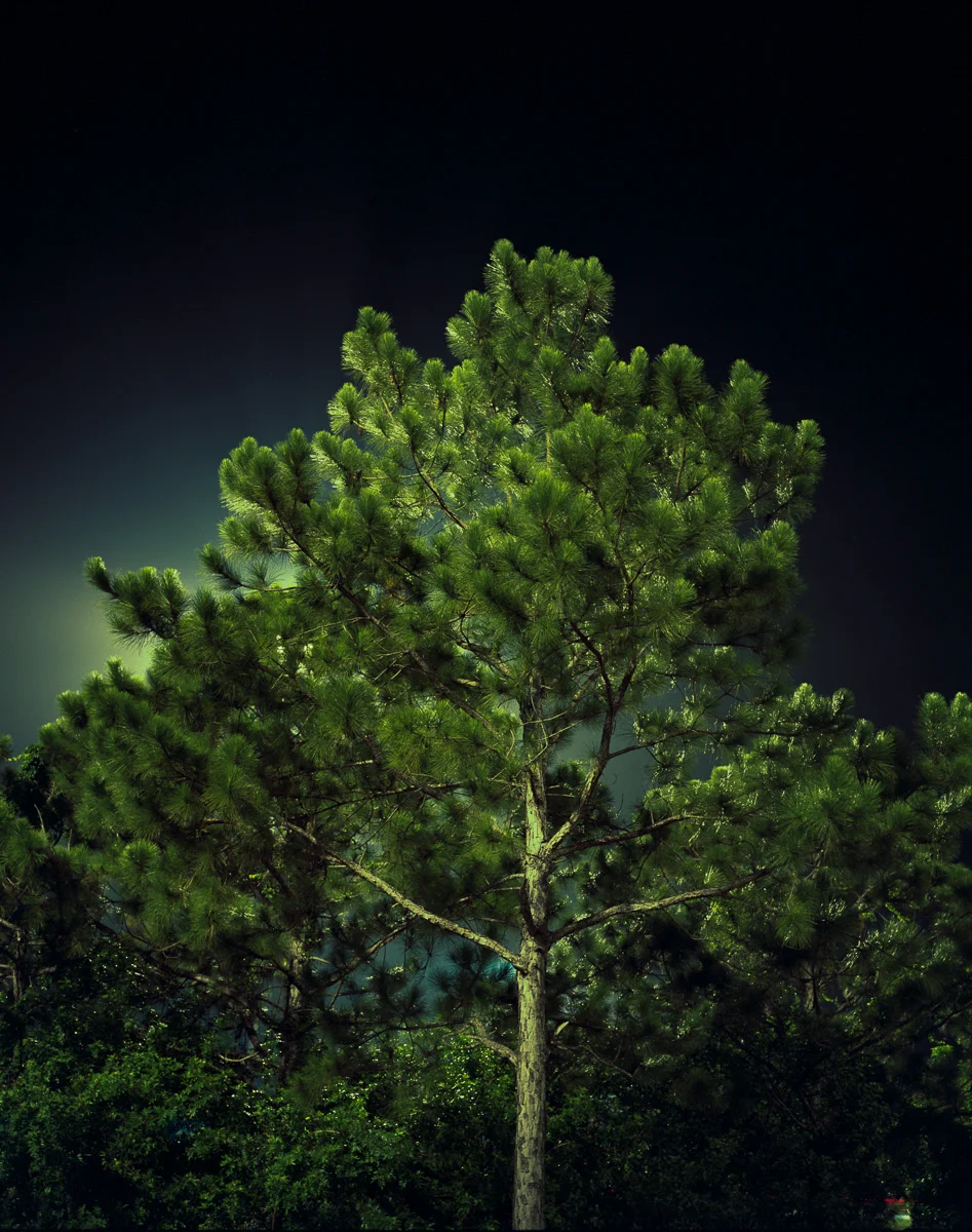 Mercury Vapor No.14 © Adrain Chesser
