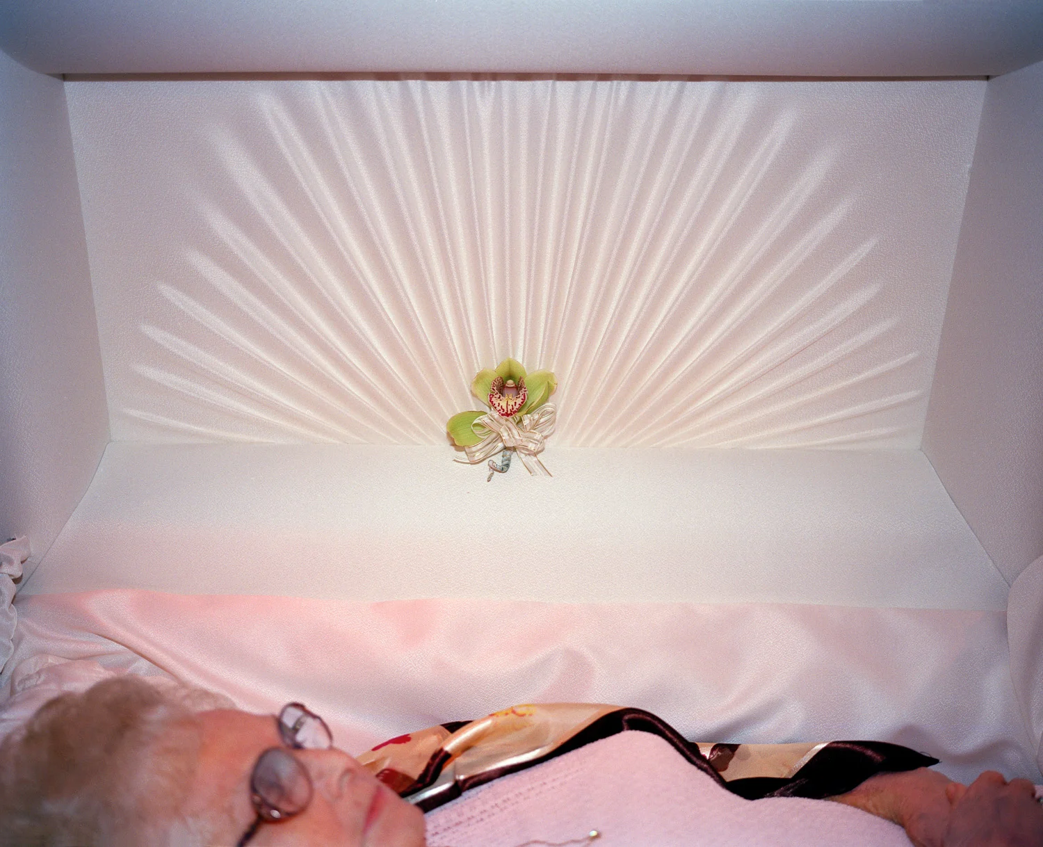 Orchid © Adrain Chesser