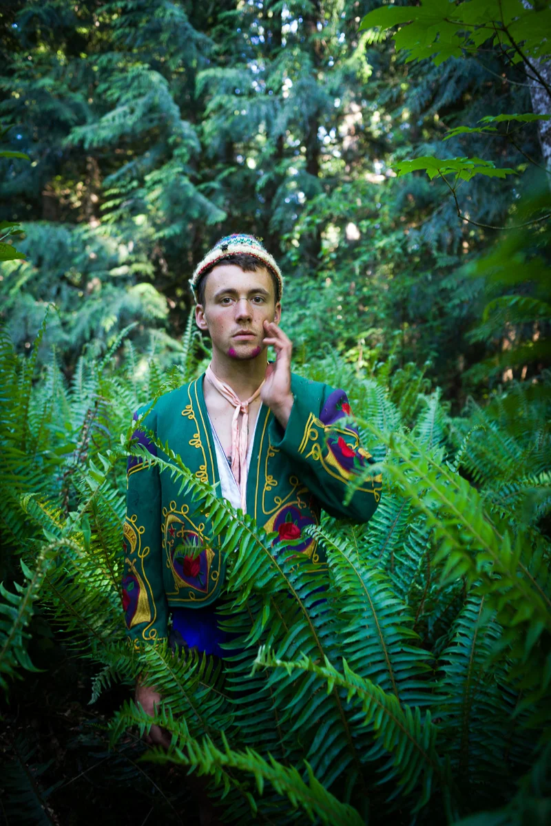 Ferns © Adrain Chesser