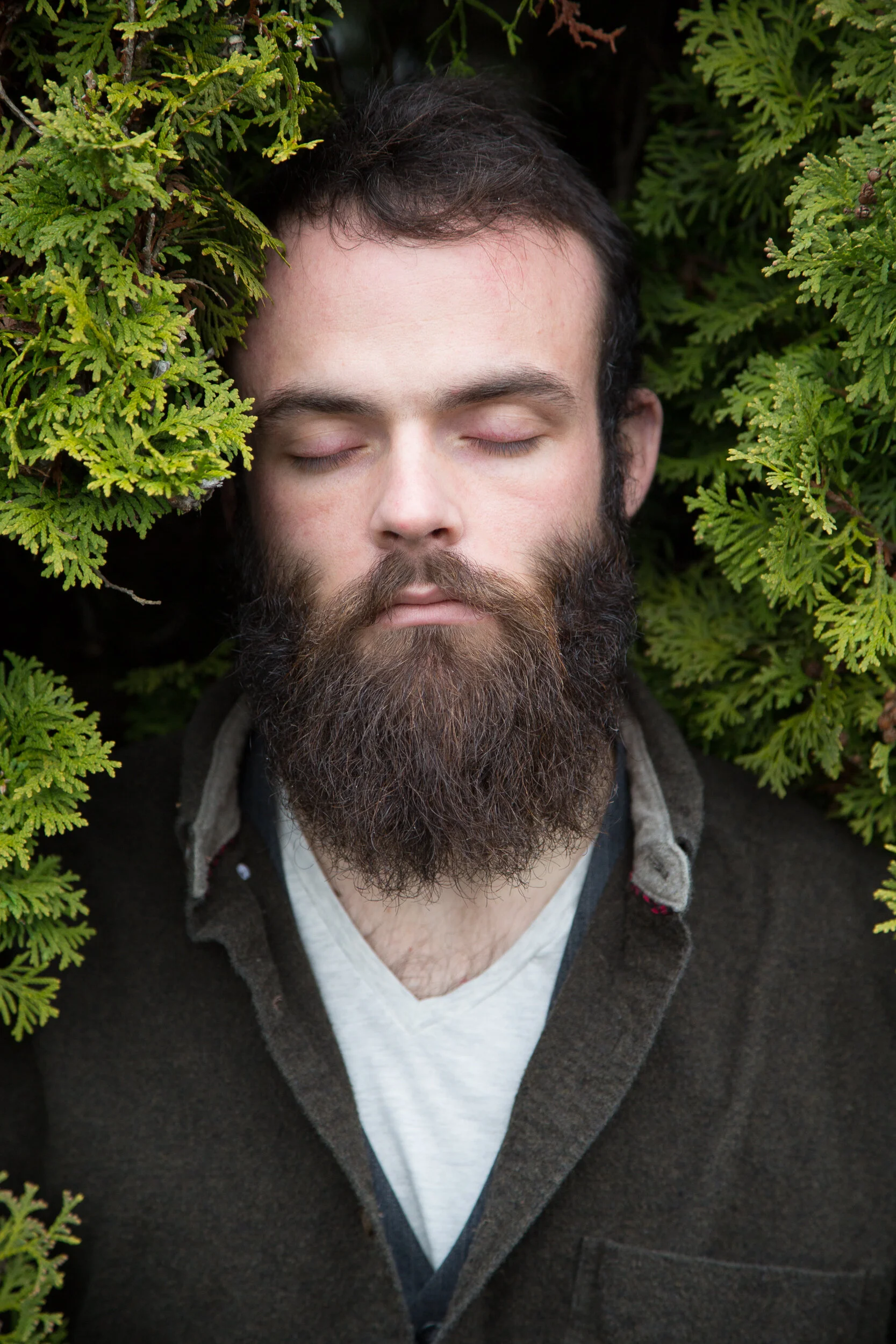 cedar1.jpg