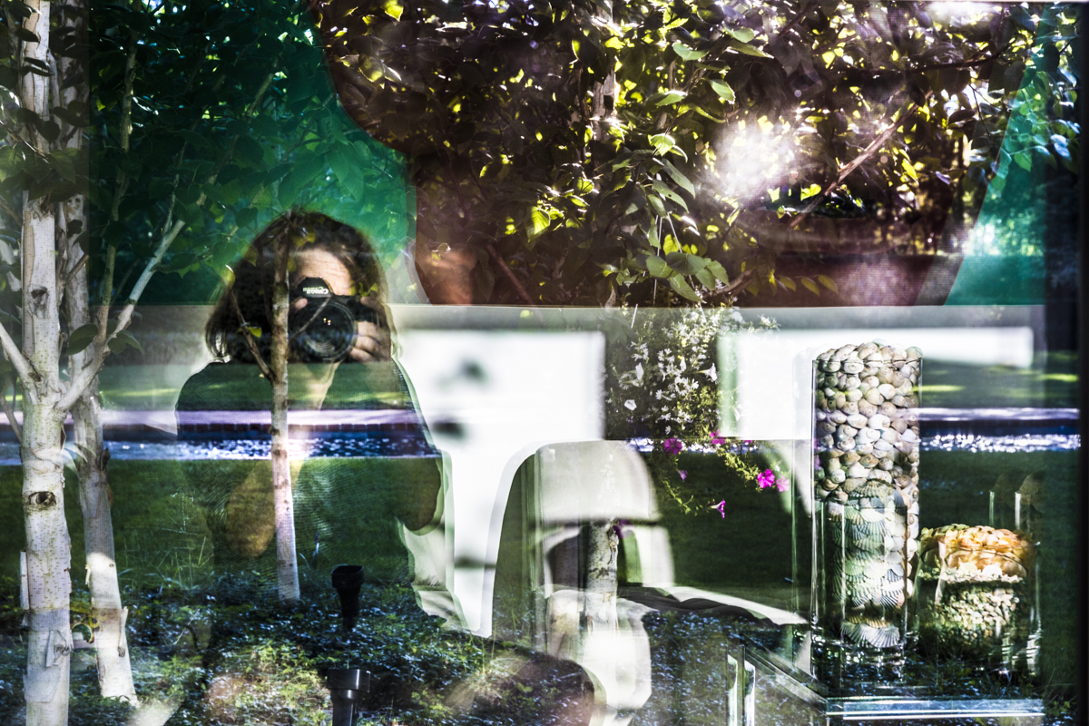 Joan Lobis Brown, Summer 2017
