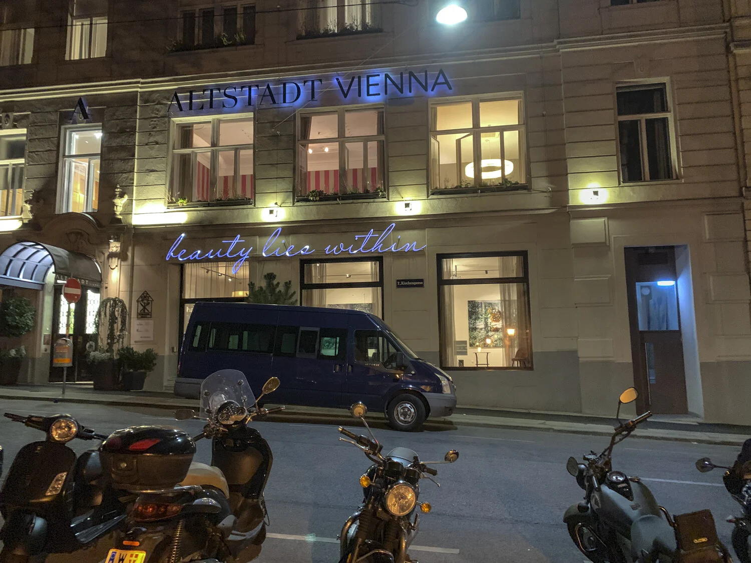 Joan_Lobis_Brown_Vienna_3.jpg