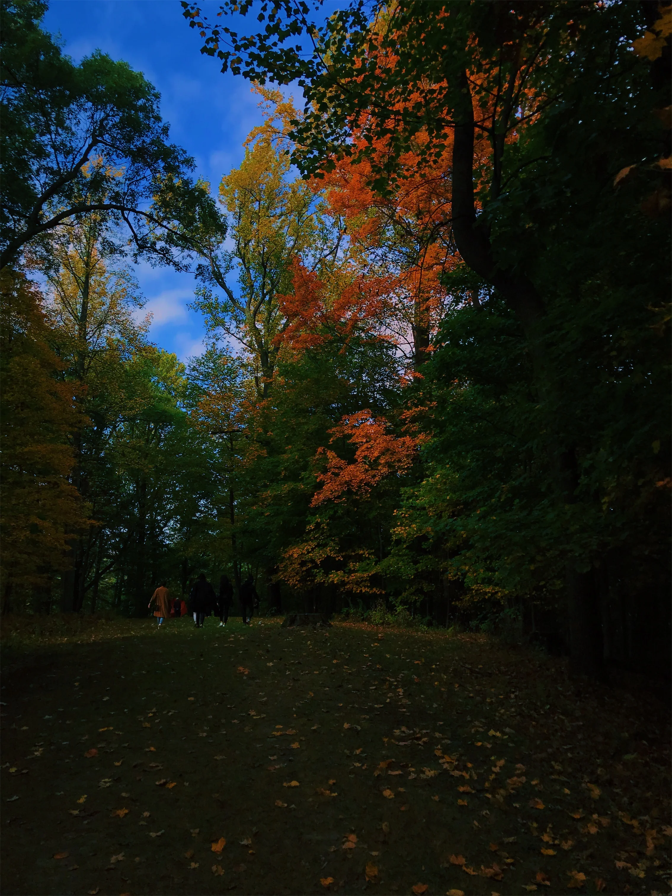 VSCO Cam-12.jpg