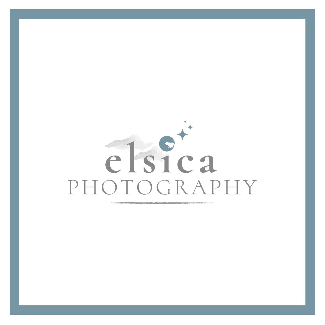 Elsica-full-logo-color.jpg