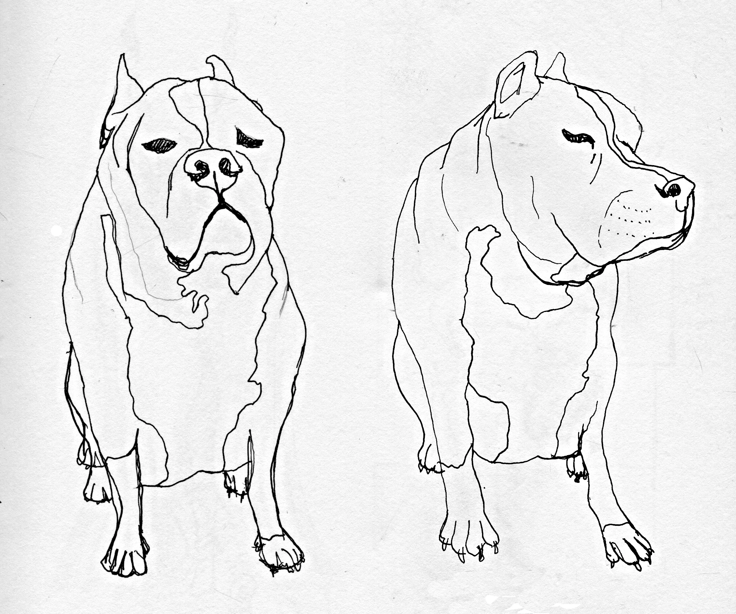 portfolio_sketch388.jpg