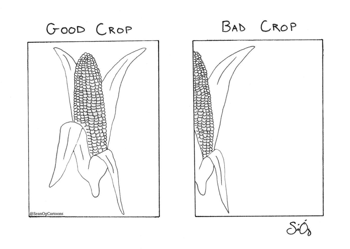 🌽 circa 2008 #corn #crop #goodcop #badcop #photoshop #editing #cops #police #farming #maize #thanksgiving  #graphicdesign #halloween #cartoon #cartoons #illustration #gags #gag #art #drawing #joke #freelance #rejected #newyorkermag #newyorker #penan