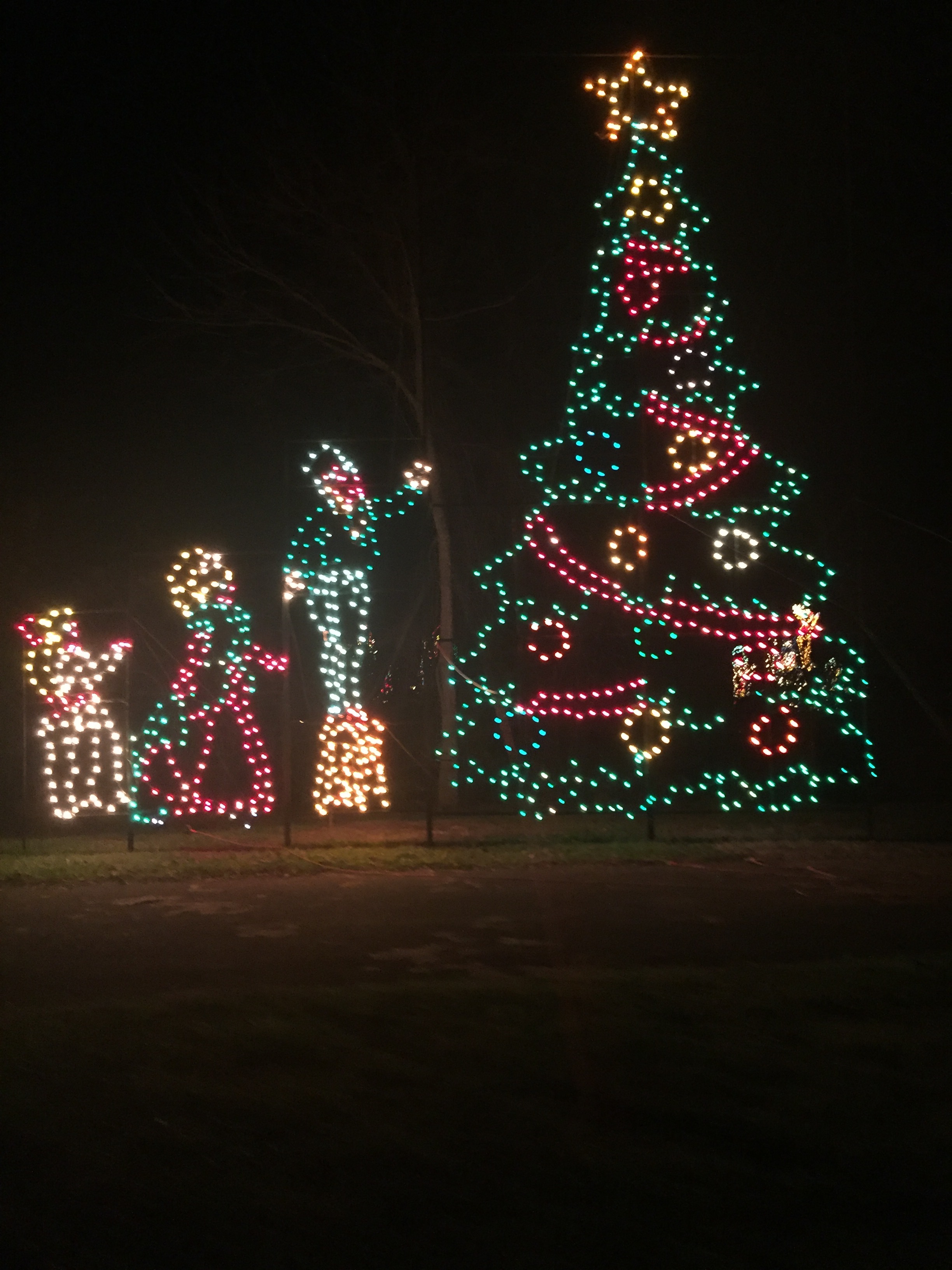 Fantasy of Lights - Alum Creek State Park