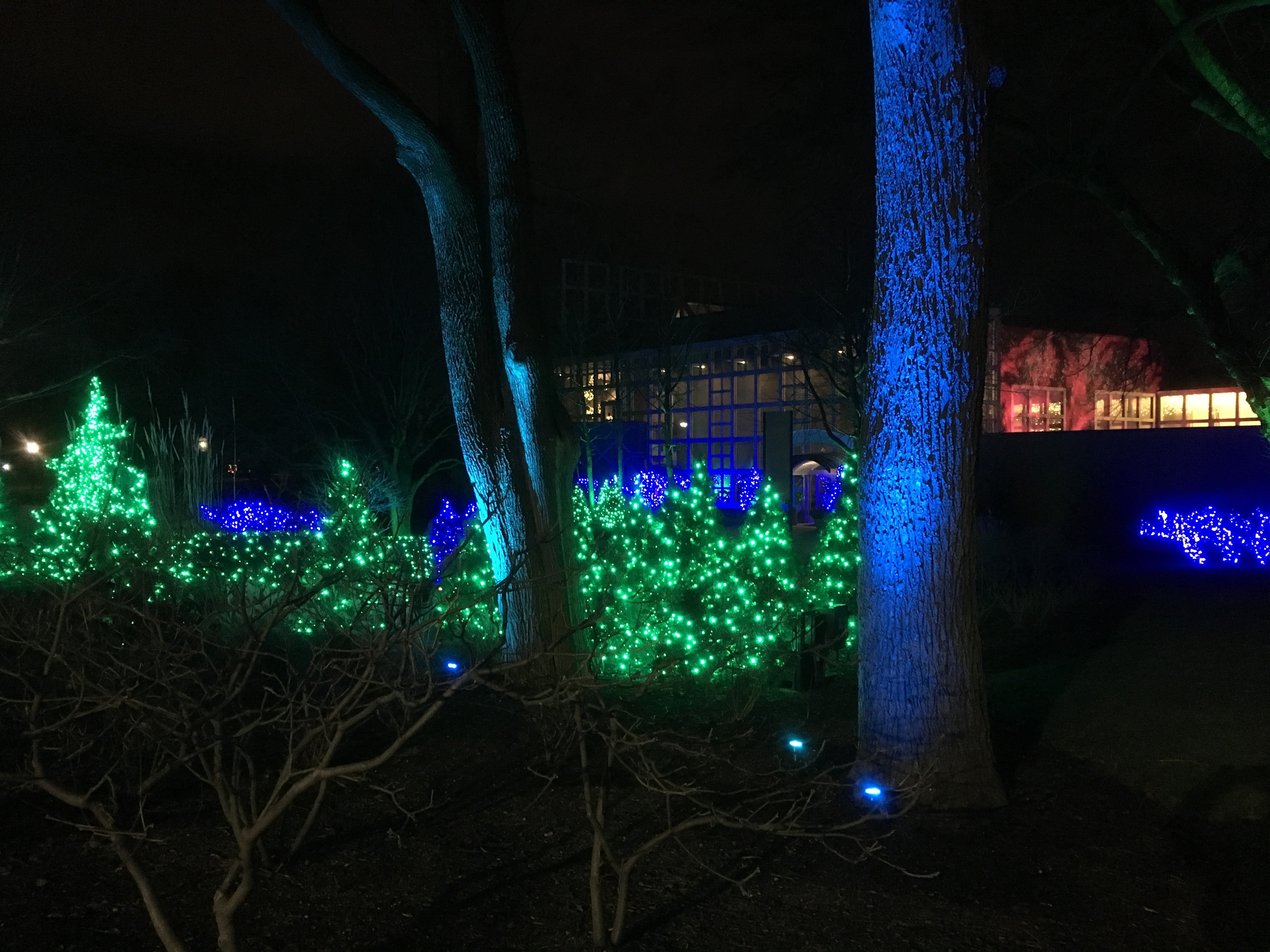 We drove to Franklin Park Conservatory to see if they had lights!