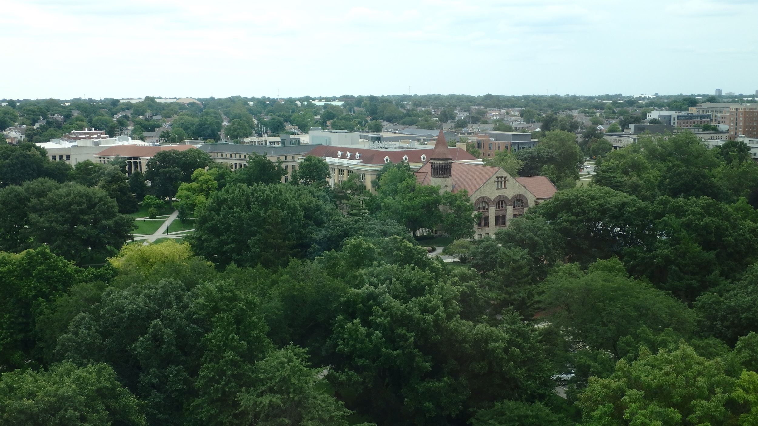 Thompson Library - view from 11th floor