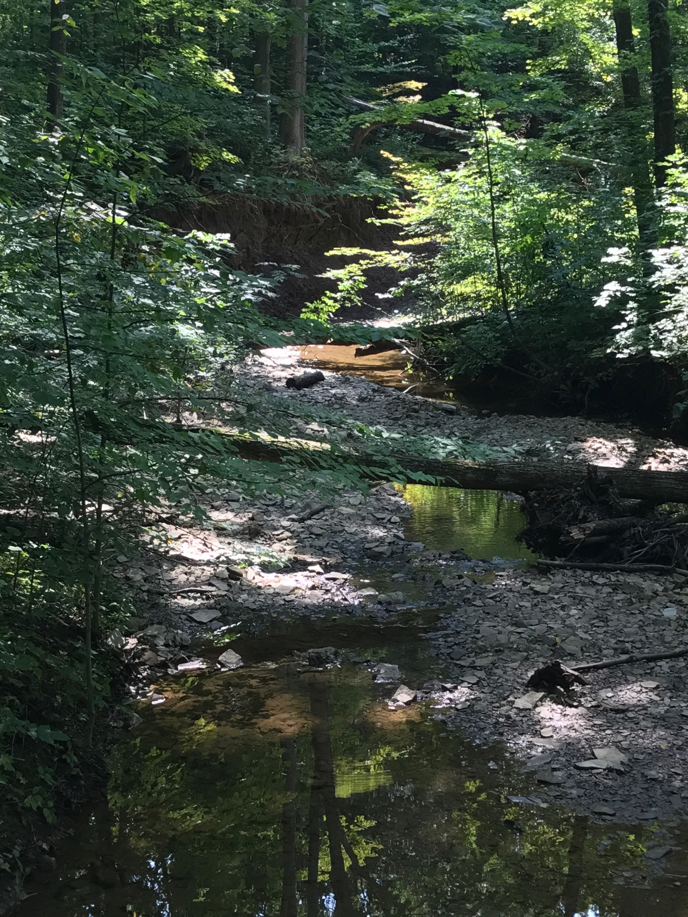 Blendon Woods Metro Park