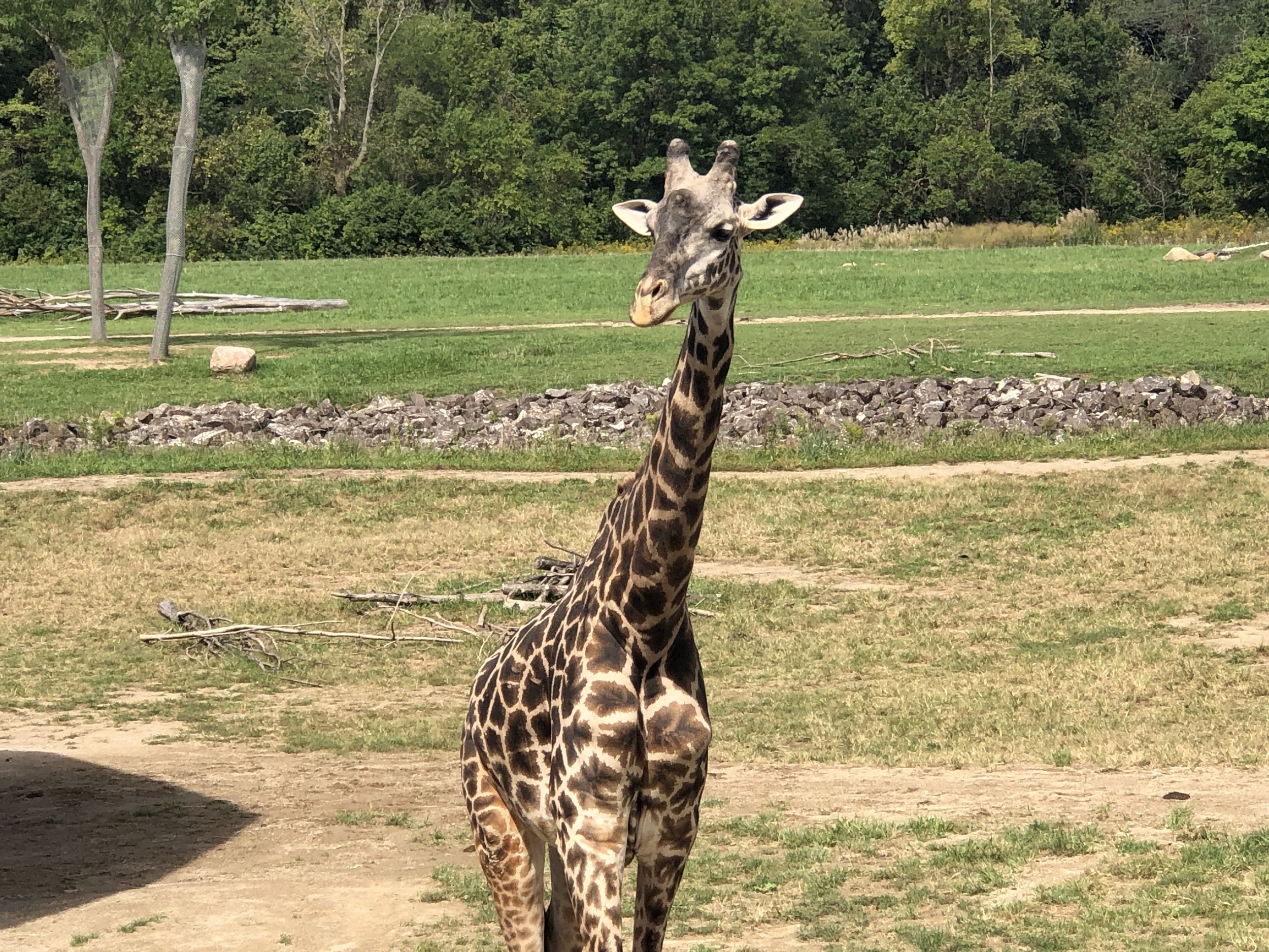 IMG_1051.jpeg