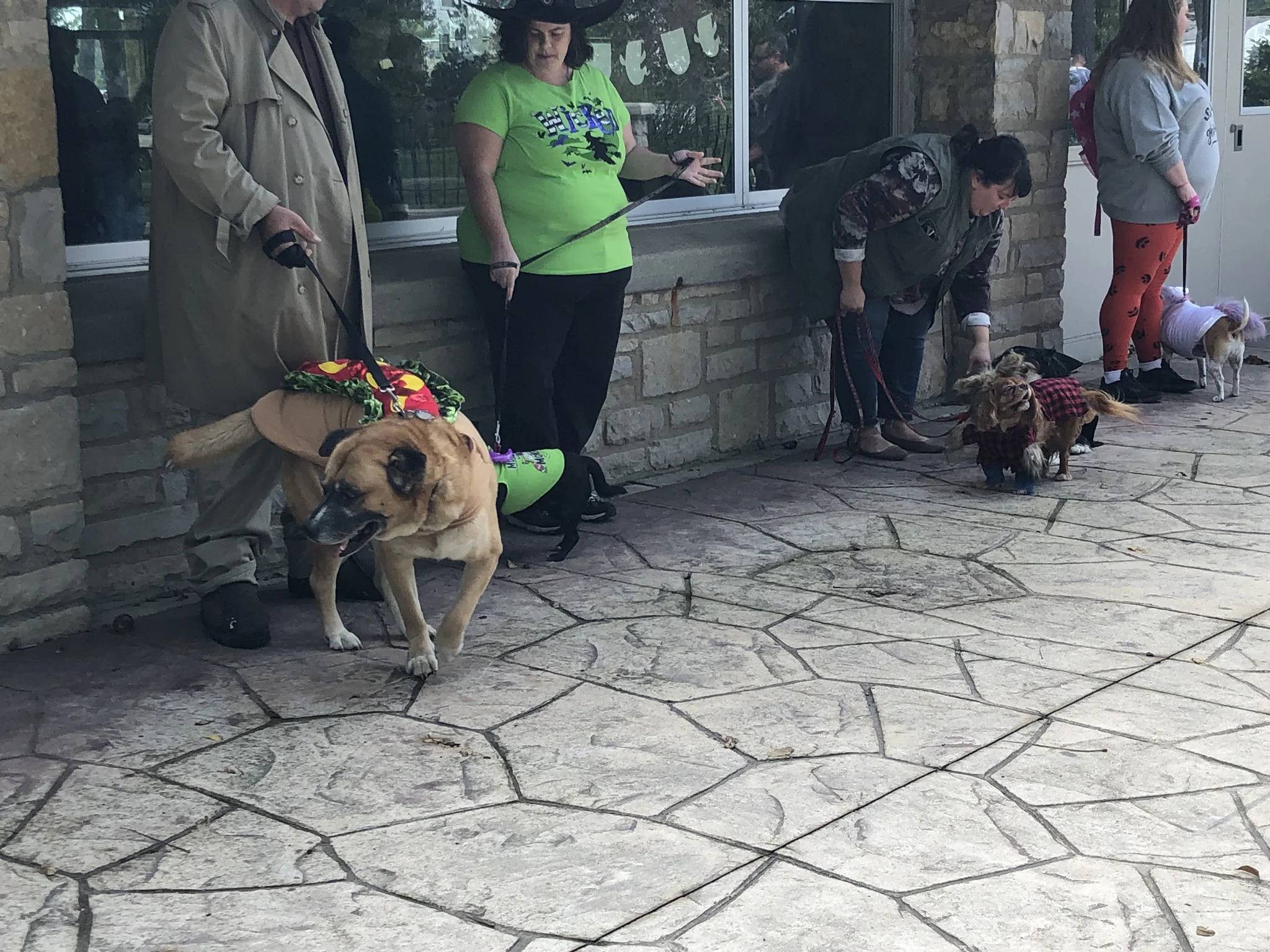 IMG_2081.JPEG