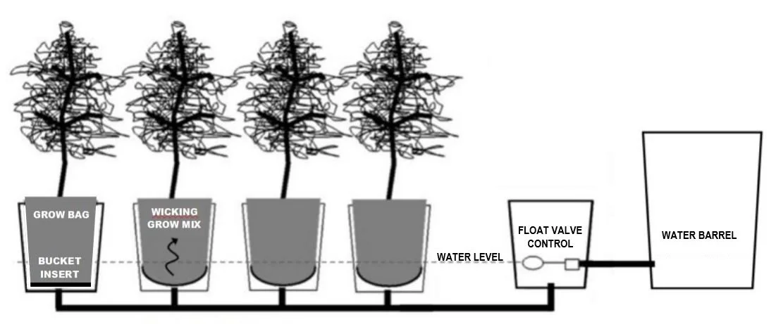 Start a Grow Bag Garden and Water It EASILY 