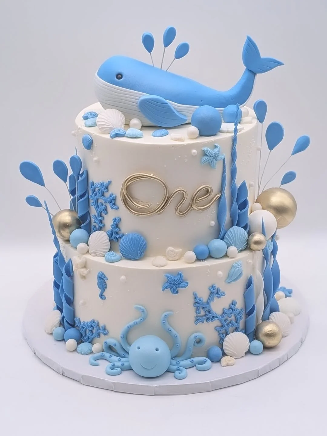 🐋🐳🐋🐳🐋🐳🐋🐳🐋🐳🐋🐳🐋🐳