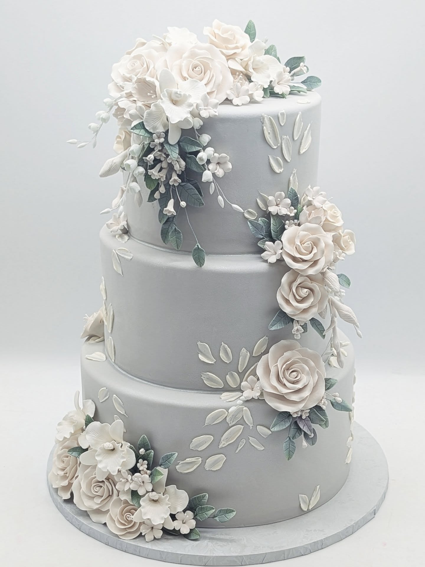 A gorgeous grey 🩶 beauty 🤍