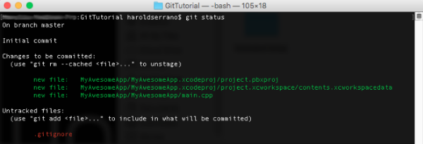 Git Terminal