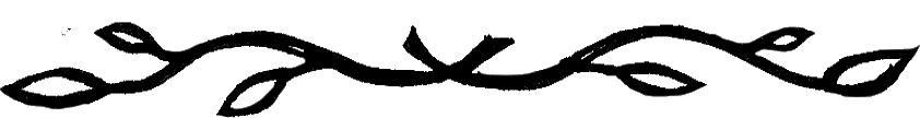 Divider-1.png