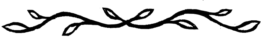 Divider-2.png