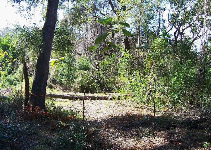  Closed in February 2019  Repeat Customer  Ground Up Construction  Appraised for as completed: $313,000  Loan Amount: $170,000  Loan to Value: 54%  Pinellas County  