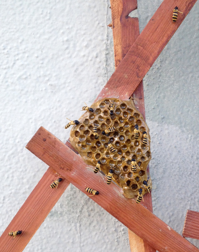 Woman With Bees (detail)