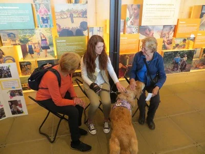 This is a classic therapy dog situation where a therapy dog is visiting with multiple people in a public environment.