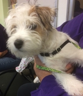 The Tot in Practice Lab. He was very eager to meet everybody!