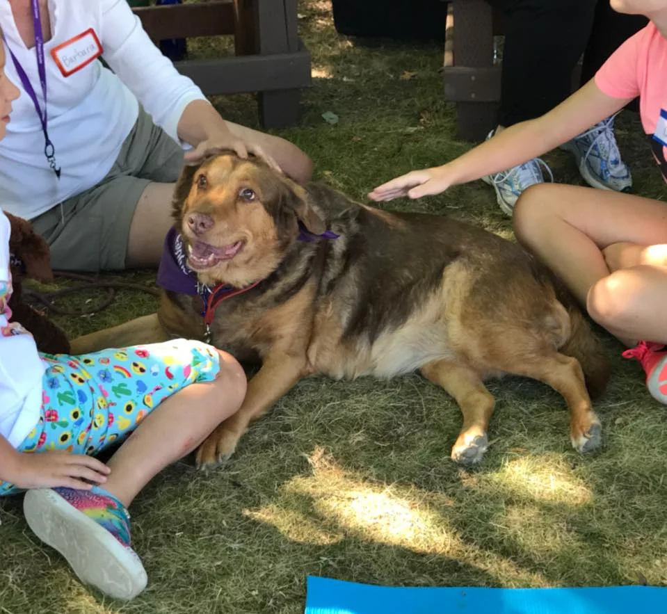 Therapy dog Ruby Rose and her handler Barbara visiting with children at a Bridges to Compassion session. Ruby Rose is a Lab mix.
