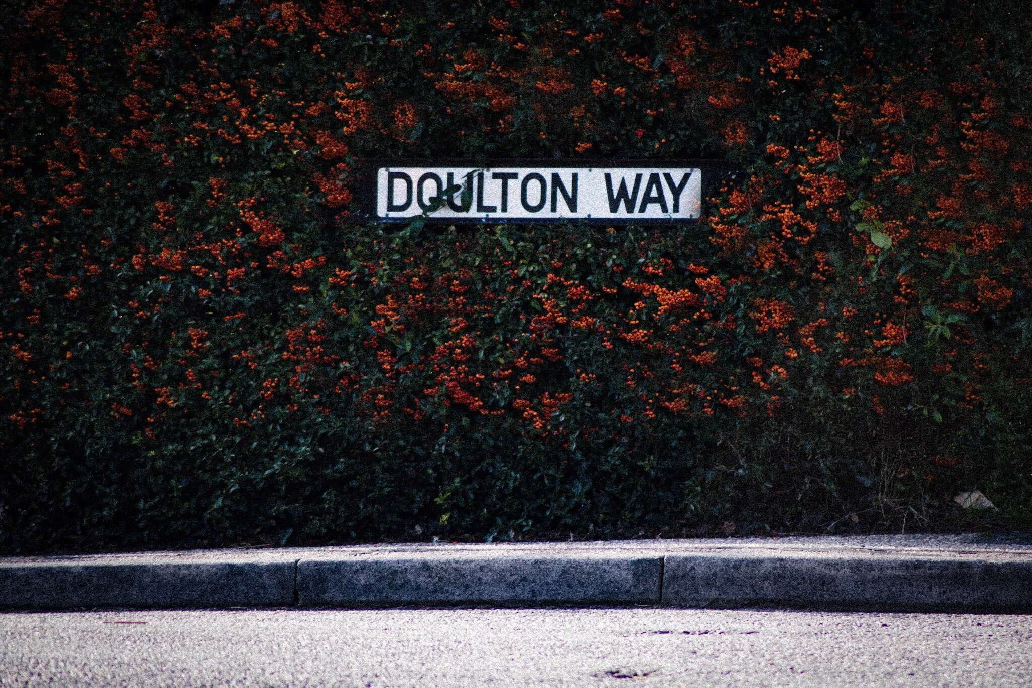 DSC_0032.JPG