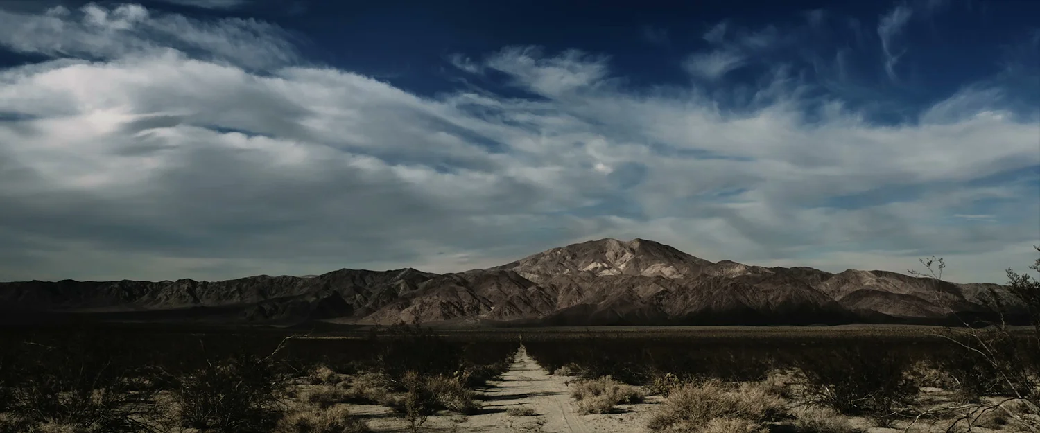 DOMINO SPRINGS teaser B.jpeg