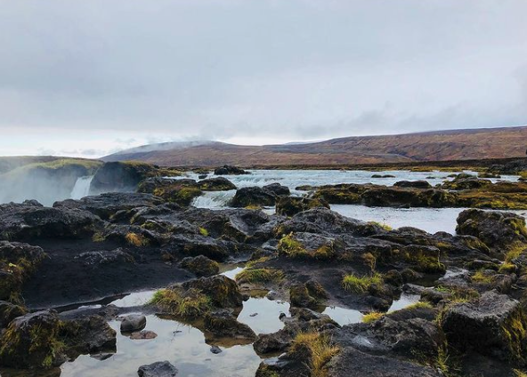 Screen Shot 2021-03-09 at 6.03.33 PM.png