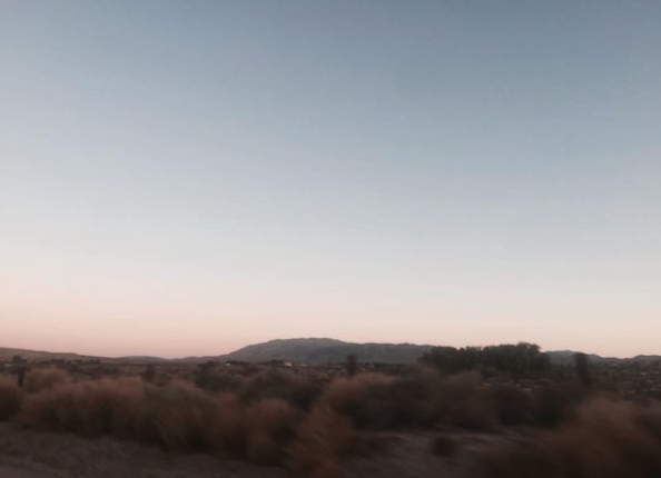 Screen Shot 2021-03-09 at 6.03.52 PM.png