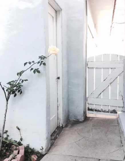 Screen Shot 2021-03-09 at 6.06.10 PM.png