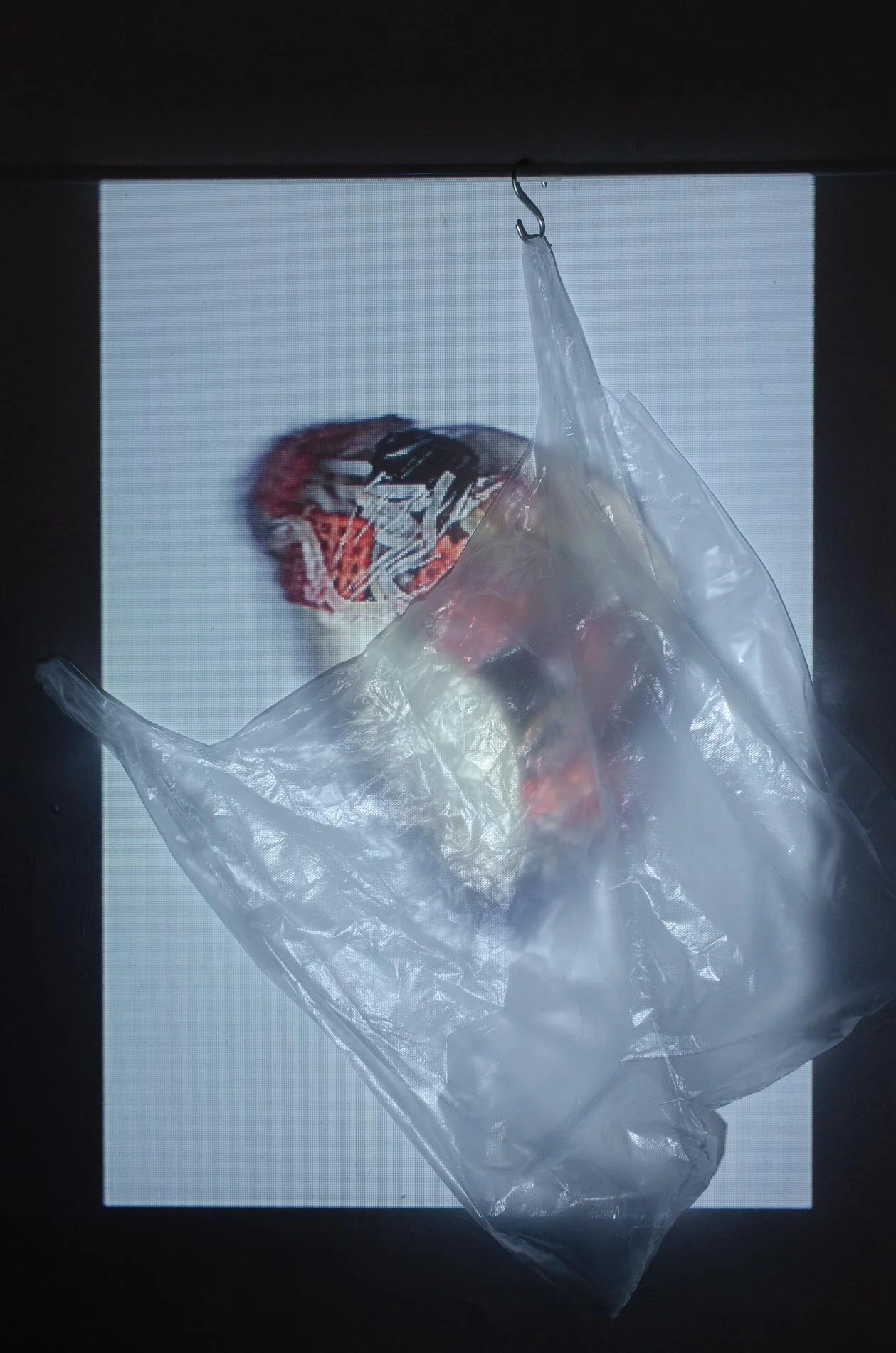 webver-1.jpg