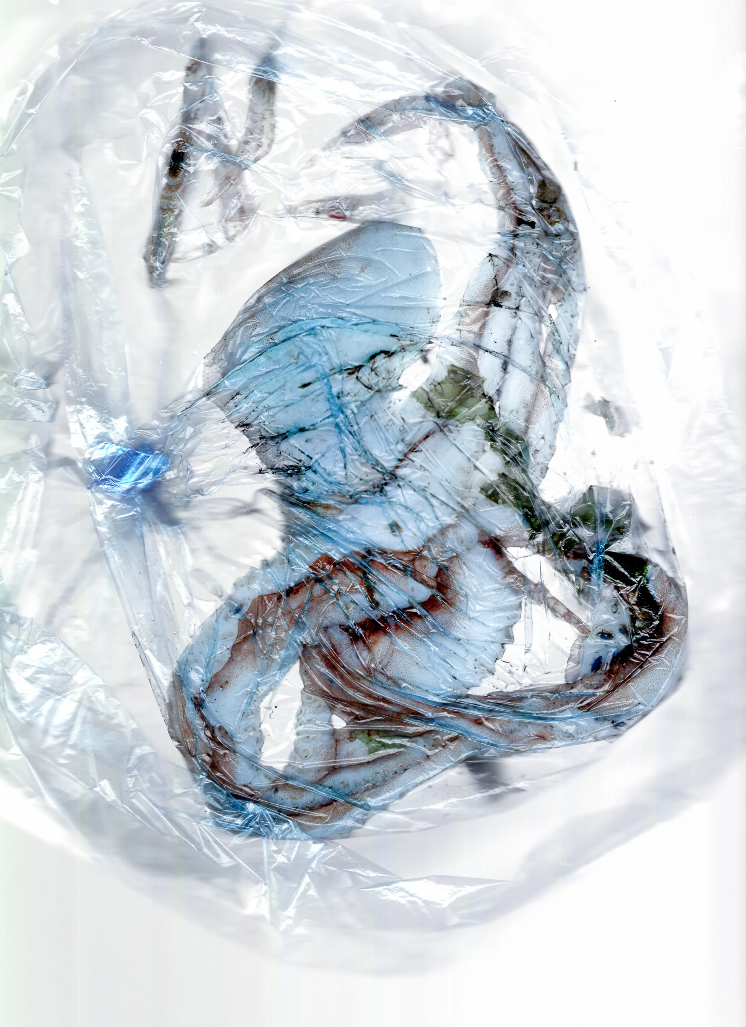 Yan_细孔网格布110x151cm 修改后-5.jpg