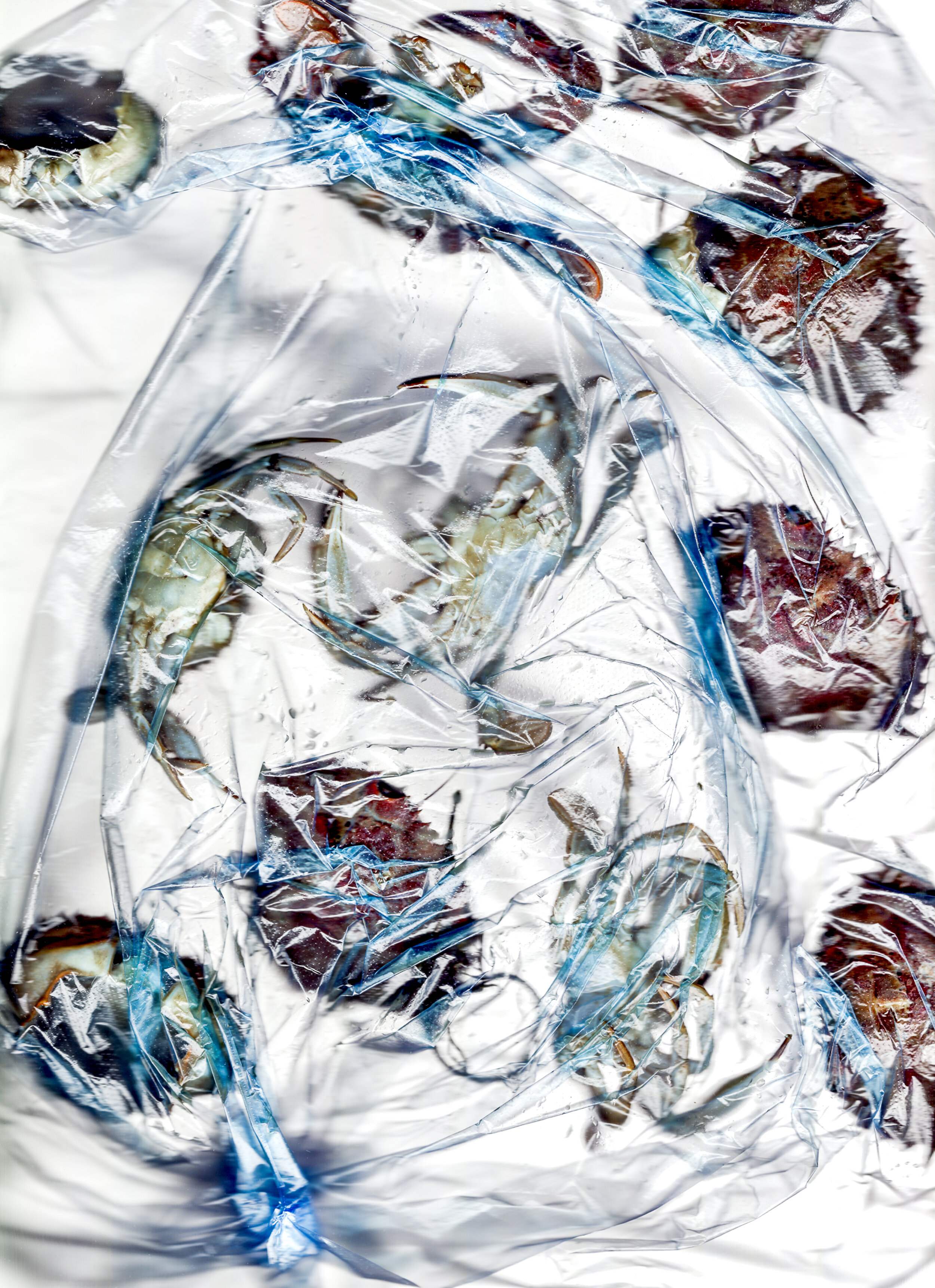 Yan_细孔网格布110x151cm 修改后-2.jpg