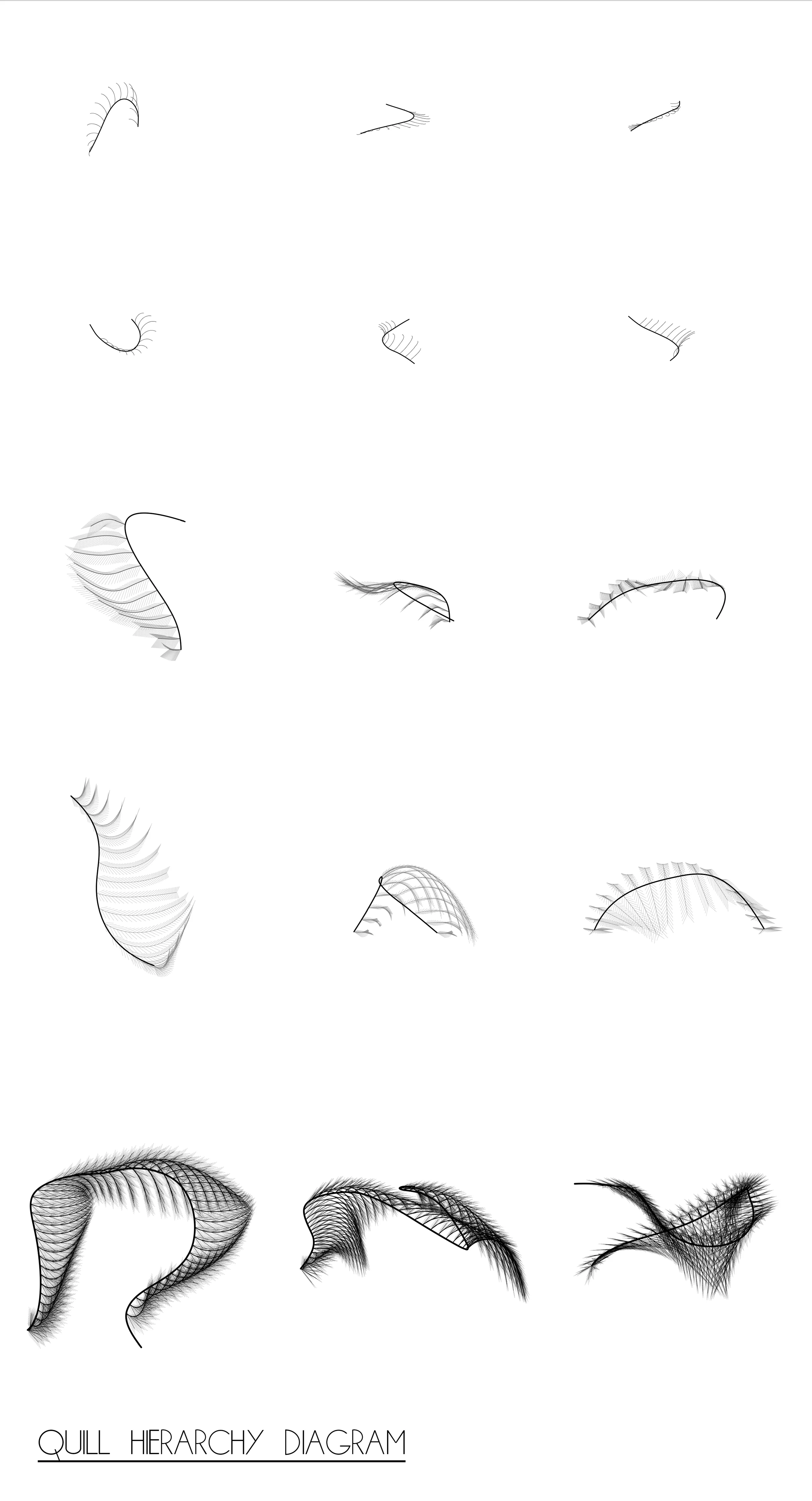 feather breakdown.jpg
