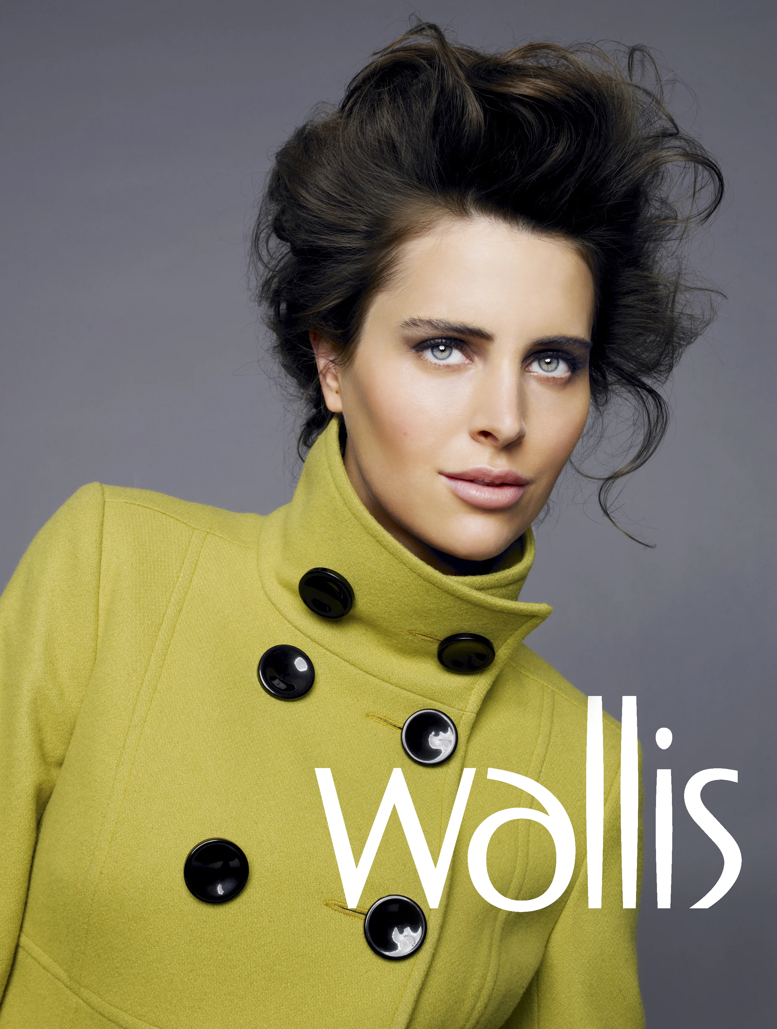 wallis3.jpg